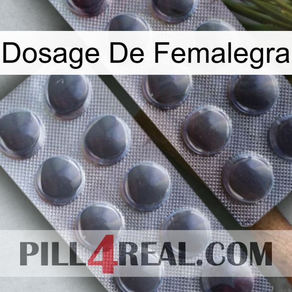 Femalegra Dosage 31